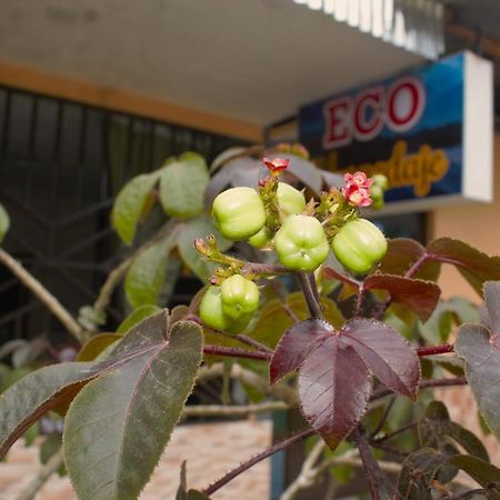 Hospedaje Eco Vandrerhjem Lagunas Eksteriør bilde